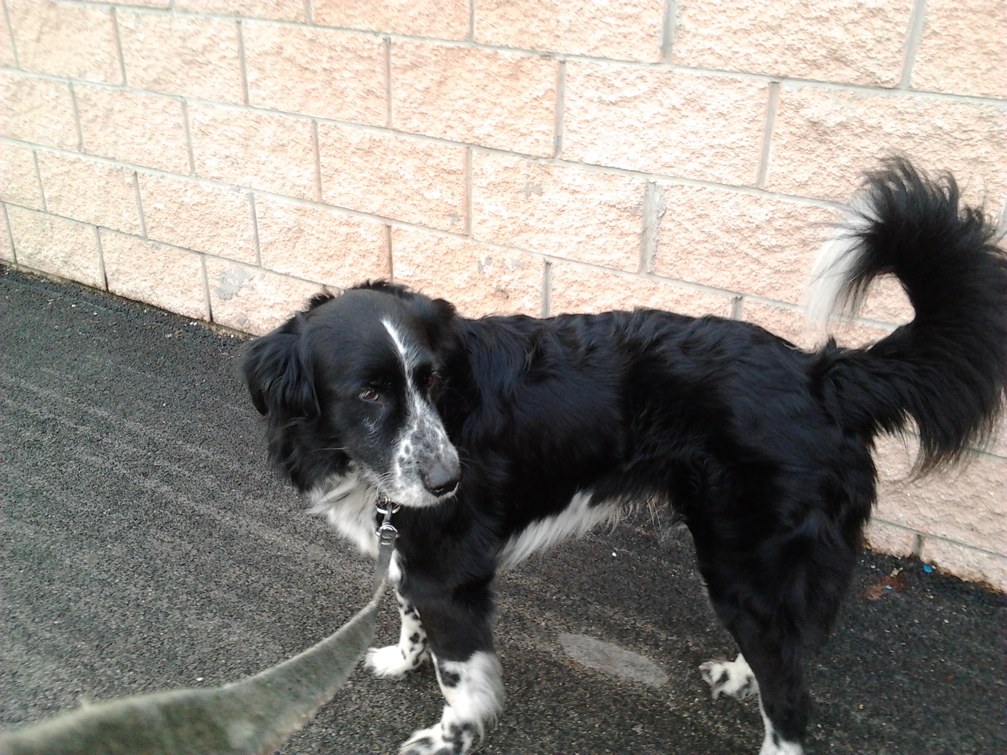 MARTINO - 31/03/2012